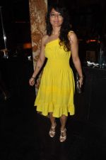 at Singer Biba Singh party in Andheri, Mumbai on 30thy Sept 2012 (39).JPG