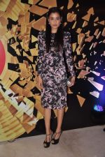 at Elle beauty awards 2012 in Mumbai on 1st Oct 2012 (104).JPG