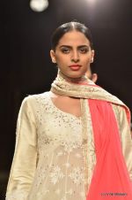 Model walk the ramp for Manish Malhotra Show at Wills Lifestyle India Fashion Week 2012 day 2 on 7th Oct 2012 (88).JPG