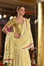 Model walks for Maheka Mirpuri Show in Taj Hotel, Mumbai on 17th Oct 2012 (113).JPG