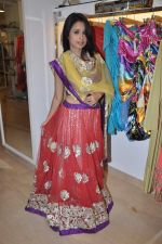 at designer preview at Zarine Khan_s Fizaa in Juhu, Mumbai on 17th Oct 2012 (31).JPG