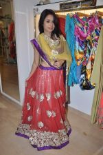 at designer preview at Zarine Khan_s Fizaa in Juhu, Mumbai on 17th Oct 2012 (32).JPG