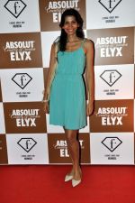 at Sun Dance Party by Absolut Elyx in Mumbai on 21st Oct 2012 (80).JPG