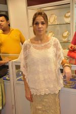 at Araish exhibition in Blue Sea on 22nd Oct 2012 (31).JPG