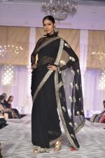 at Sahchari foundation show by designer Meera and Musaffar Ali on 22nd Oct 2012 (96).JPG