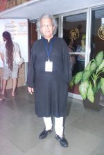 at Shobha De book launch at Tata Literature festival on 2nd Nov 2012 (6).JPG