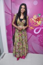 at the launch of Fruitilicious in Mumbai on 6th Nov 2012 (69).JPG