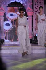 at Grand fashion Extravaganza Show Ignite in J W Marriott, Mumbai on 8th Nov 2012,1 (12).JPG