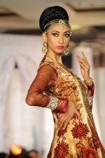 at Grand fashion Extravaganza Show Ignite in J W Marriott, Mumbai on 8th Nov 2012,1 (217).JPG