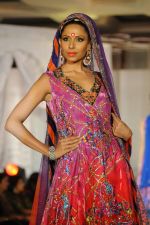 at Grand fashion Extravaganza Show Ignite in J W Marriott, Mumbai on 8th Nov 2012,1 (225).JPG