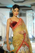 at Grand fashion Extravaganza Show Ignite in J W Marriott, Mumbai on 8th Nov 2012,1 (256).JPG