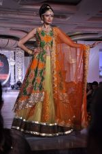 at Grand fashion Extravaganza Show Ignite in J W Marriott, Mumbai on 8th Nov 2012,1 (83).JPG