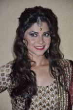 at Umeed-Ek Koshish charitable fashion show in Leela hotel on 9th Nov 2012 (33).JPG
