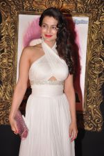 Amisha Patel at the Premiere of Jab Tak Hai Jaan in Yashraj Studio, Mumbai on 16th Nov 2012 (131).JPG