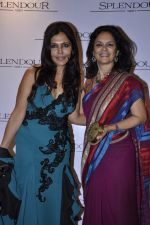 Nisha Jamwal at Splendour collection launch hosted by Nisha Jamwal in Mumbai on 27th Nov 2012 (28).JPG