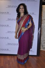 at Splendour collection launch hosted by Nisha Jamwal in Mumbai on 27th Nov 2012 (111).JPG