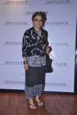 at Splendour collection launch hosted by Nisha Jamwal in Mumbai on 27th Nov 2012 (13).JPG