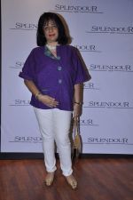 at Splendour collection launch hosted by Nisha Jamwal in Mumbai on 27th Nov 2012 (15).JPG