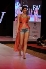 Model walk the ramp for Anupama Dayal Show at IRFW 2012 Day 1 in Goa on 28th Nov 2012 (104).JPG