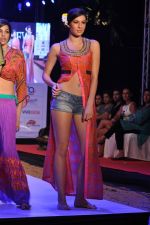 Model walk the ramp for Anupama Dayal Show at IRFW 2012 Day 1 in Goa on 28th Nov 2012 (99).JPG