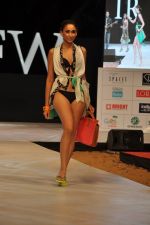 Model walk the ramp for Gogee Vasant at IRFW 2012 Day 1 in Goa on 28th Nov 2012 (3).JPG