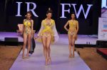 Model walk the ramp for Nidhi Munim_s debut show at IRFW 2012 Day 1 in Goa on 28th Nov 2012 (104).JPG