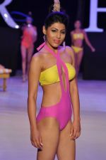 Model walk the ramp for Nidhi Munim_s debut show at IRFW 2012 Day 1 in Goa on 28th Nov 2012 (178).JPG