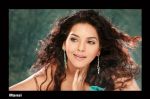Mansi Photoshoot on 29th Nov 2012 Mansi Photoshoot on 29th Nov 2012 (51).jpg