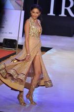 Model walk the ramp for Riyaz Gangji Show at IRFW 2012 Day 2 in Goa on 29th Nov 2012 (14).JPG
