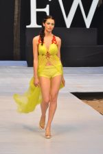 Model walk the ramp for Sounia Gohil Show at IRFW 2012 Day 2 in Goa on 29th Nov 2012 (13).JPG