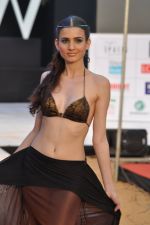 Model walk the ramp for Sounia Gohil Show at IRFW 2012 Day 2 in Goa on 29th Nov 2012 (33).JPG