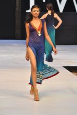 Model walk the ramp for Sounia Gohil Show at IRFW 2012 Day 2 in Goa on 29th Nov 2012 (39).JPG