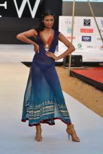 Model walk the ramp for Sounia Gohil Show at IRFW 2012 Day 2 in Goa on 29th Nov 2012 (40).JPG