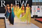 Model walk the ramp for Sounia Gohil Show at IRFW 2012 Day 2 in Goa on 29th Nov 2012 (47).JPG