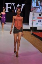 Model walk the ramp for Sushma Patel Show at IRFW 2012 Day 2 in Goa on 29th Nov 2012 (11).JPG