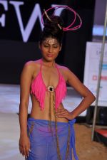 Model walk the ramp for Sushma Patel Show at IRFW 2012 Day 2 in Goa on 29th Nov 2012 (16).JPG