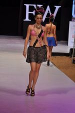 Model walk the ramp for Sushma Patel Show at IRFW 2012 Day 2 in Goa on 29th Nov 2012 (24).JPG