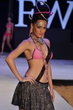 Model walk the ramp for Sushma Patel Show at IRFW 2012 Day 2 in Goa on 29th Nov 2012 (26).JPG