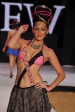 Model walk the ramp for Sushma Patel Show at IRFW 2012 Day 2 in Goa on 29th Nov 2012 (29).JPG