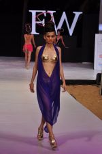 Model walk the ramp for Sushma Patel Show at IRFW 2012 Day 2 in Goa on 29th Nov 2012 (31).JPG