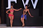 Model walk the ramp for Sushma Patel Show at IRFW 2012 Day 2 in Goa on 29th Nov 2012 (34).JPG