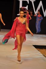 Model walk the ramp for Sushma Patel Show at IRFW 2012 Day 2 in Goa on 29th Nov 2012 (4).JPG