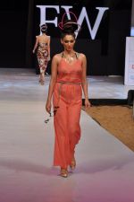 Model walk the ramp for Sushma Patel Show at IRFW 2012 Day 2 in Goa on 29th Nov 2012 (42).JPG