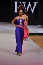Model walk the ramp for Sushma Patel Show at IRFW 2012 Day 2 in Goa on 29th Nov 2012 (44).JPG