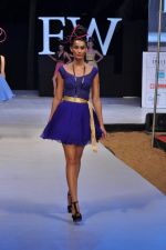 Model walk the ramp for Sushma Patel Show at IRFW 2012 Day 2 in Goa on 29th Nov 2012 (56).JPG