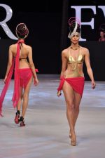 Model walk the ramp for Sushma Patel Show at IRFW 2012 Day 2 in Goa on 29th Nov 2012 (7).JPG
