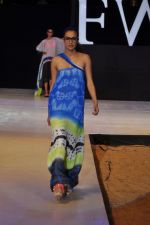 Model walk the ramp for Babita Malkani Show at IRFW 2012 in Goa on 1st Dec 2012 (103).JPG
