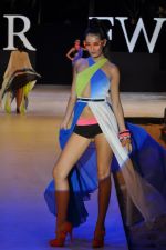 Model walk the ramp for Babita Malkani Show at IRFW 2012 in Goa on 1st Dec 2012 (106).JPG