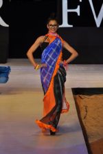 Model walk the ramp for Babita Malkani Show at IRFW 2012 in Goa on 1st Dec 2012 (108).JPG