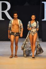 Model walk the ramp for Shane & Falguni Show at IRFW 2012 in Goa on 1st Dec 2012 (24).JPG